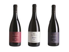 Vino Rocca Brettia